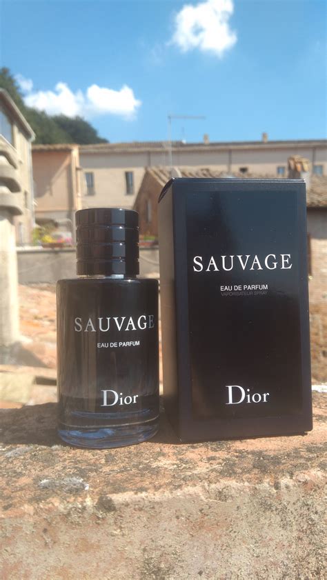 profumo sauvage dior recensione|Recensione Dior Sauvage: il seducente profumo del caos.